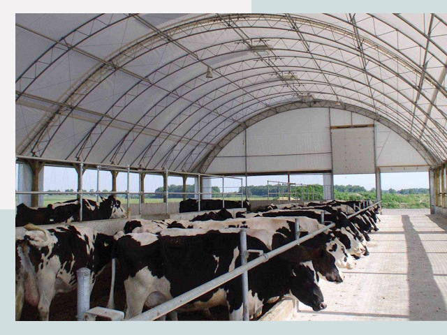 Тентовые коровники в Нижнекамске